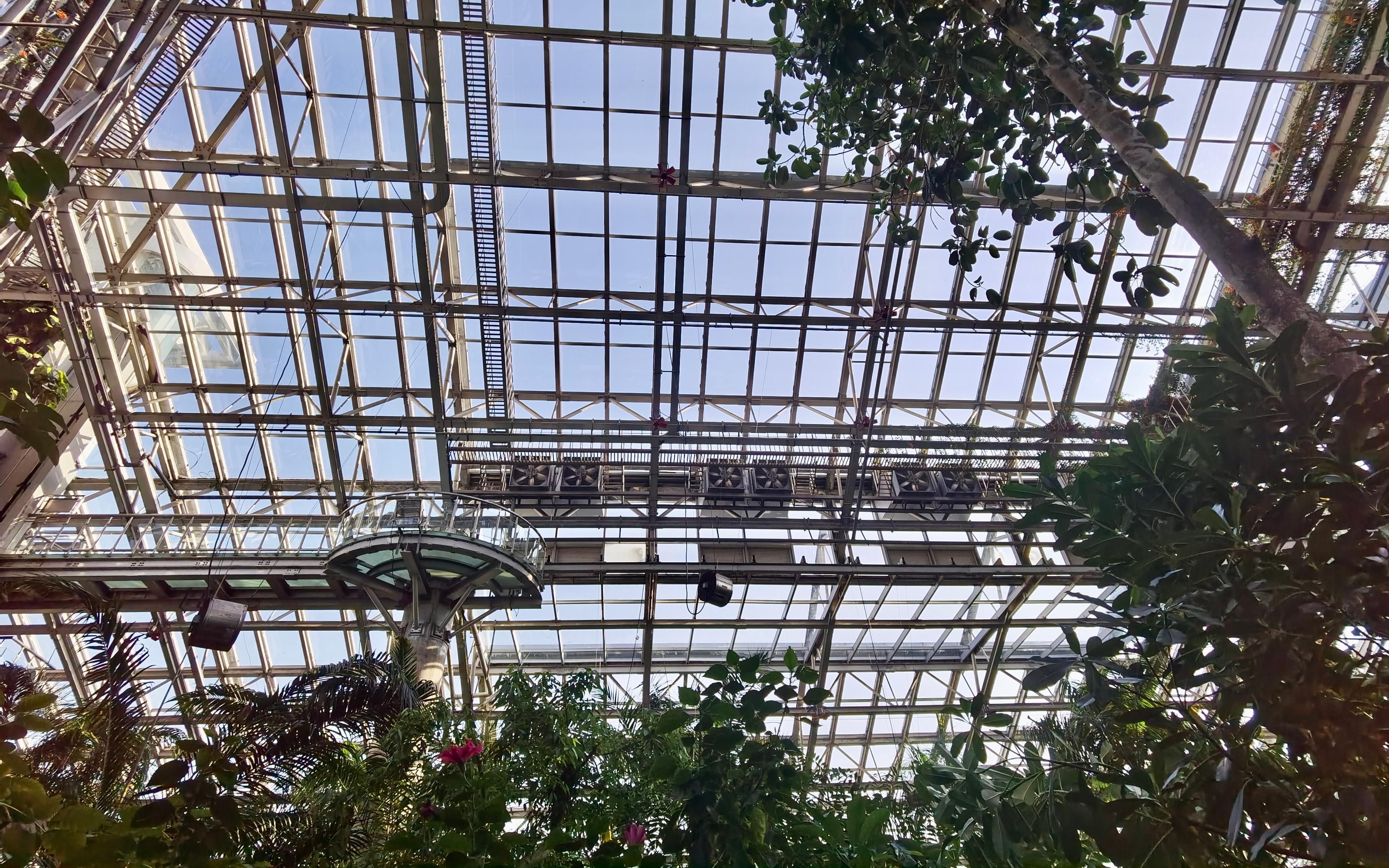 上海植物园展览温室玻璃焕新安全与效果并重