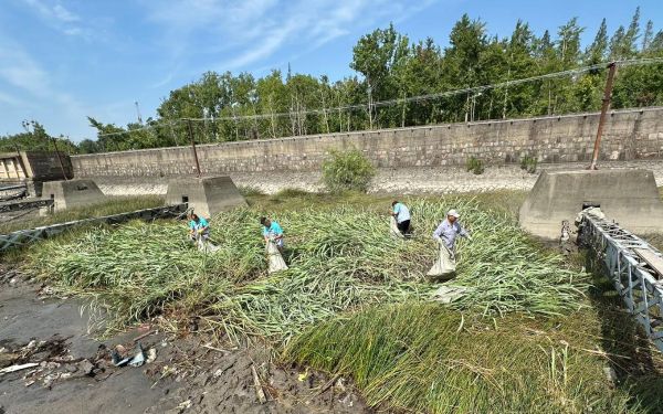 155 (5).jpg 155 (5).jpg