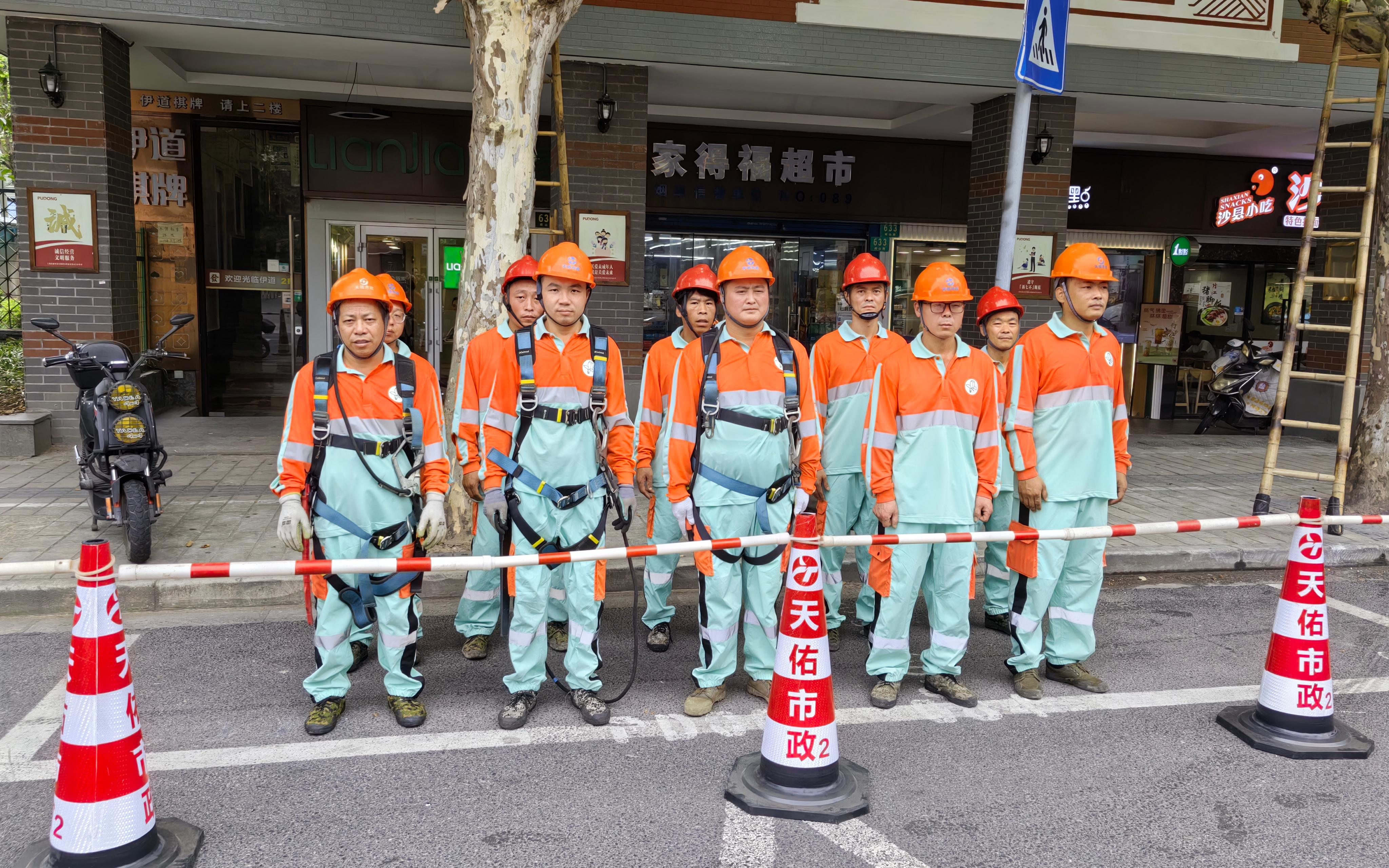 换新装 展新颜 上海各区绿化养护人员陆续完成夏装更换工作