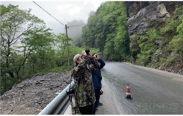 上海飞羽队在第3届“神农架国家公园杯”观鸟赛中荣获二等奖2.jpg 上海飞羽队在第3届“神农架国家公园杯”观鸟赛中荣获二等奖2.jpg