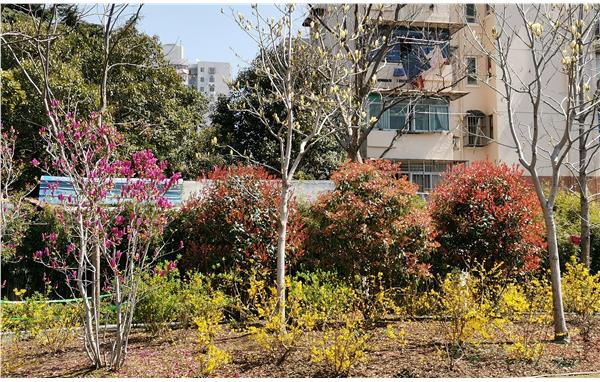 2021百条花道希望园面貌-王联银摄 (1).jpg