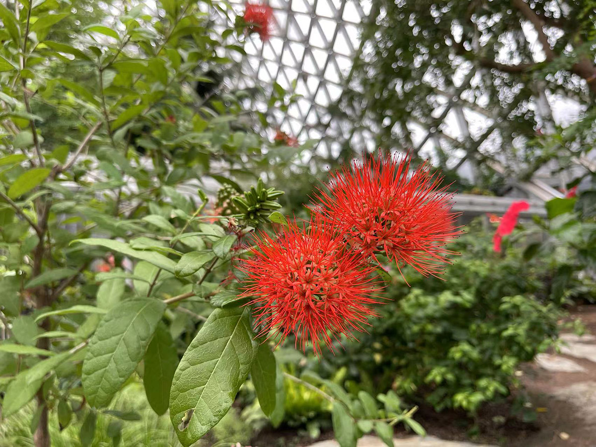 风车子 (4).jpg 风车子 (4).jpg