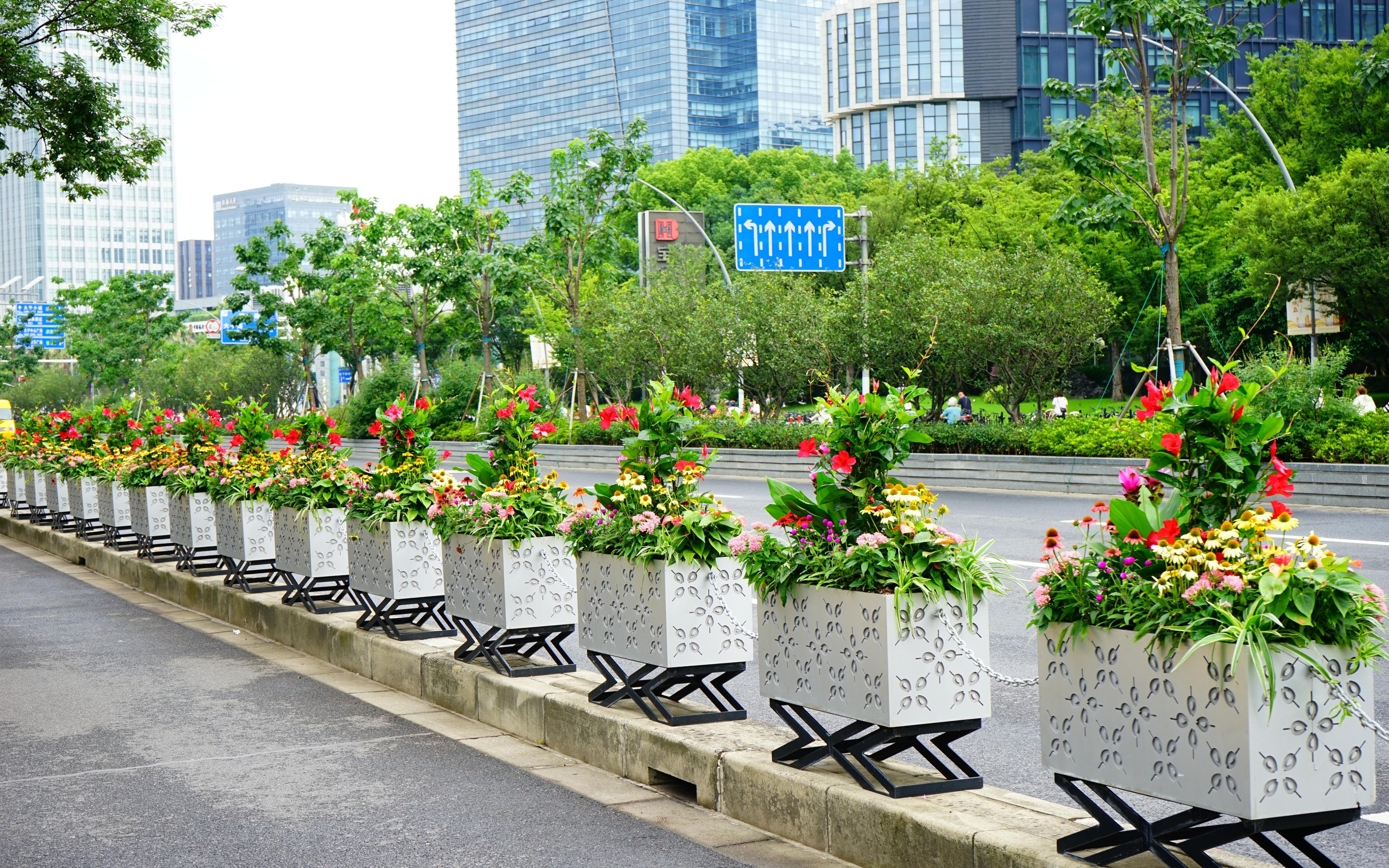 广中路花箱更新营造浓浓夏日风情