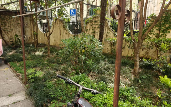 图片5.png 图片5.png