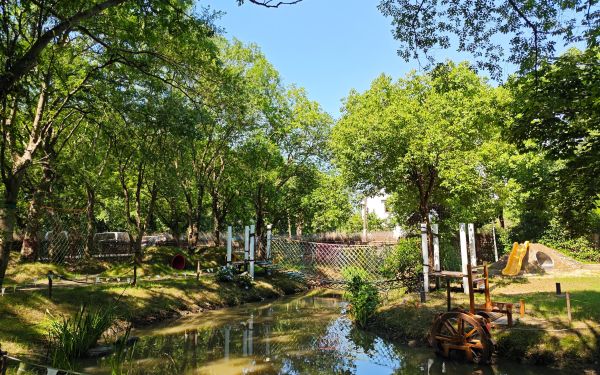 市林业总站赴青浦区赵巷镇方夏村开展林下经济调研3.jpg