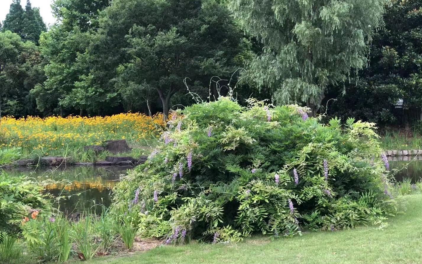 e535ba7bf24bacb7ec5797bff71e32f.jpg e535ba7bf24bacb7ec5797bff71e32f.jpg