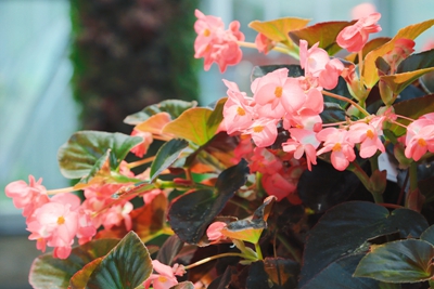 8C9A5319_副本.jpg