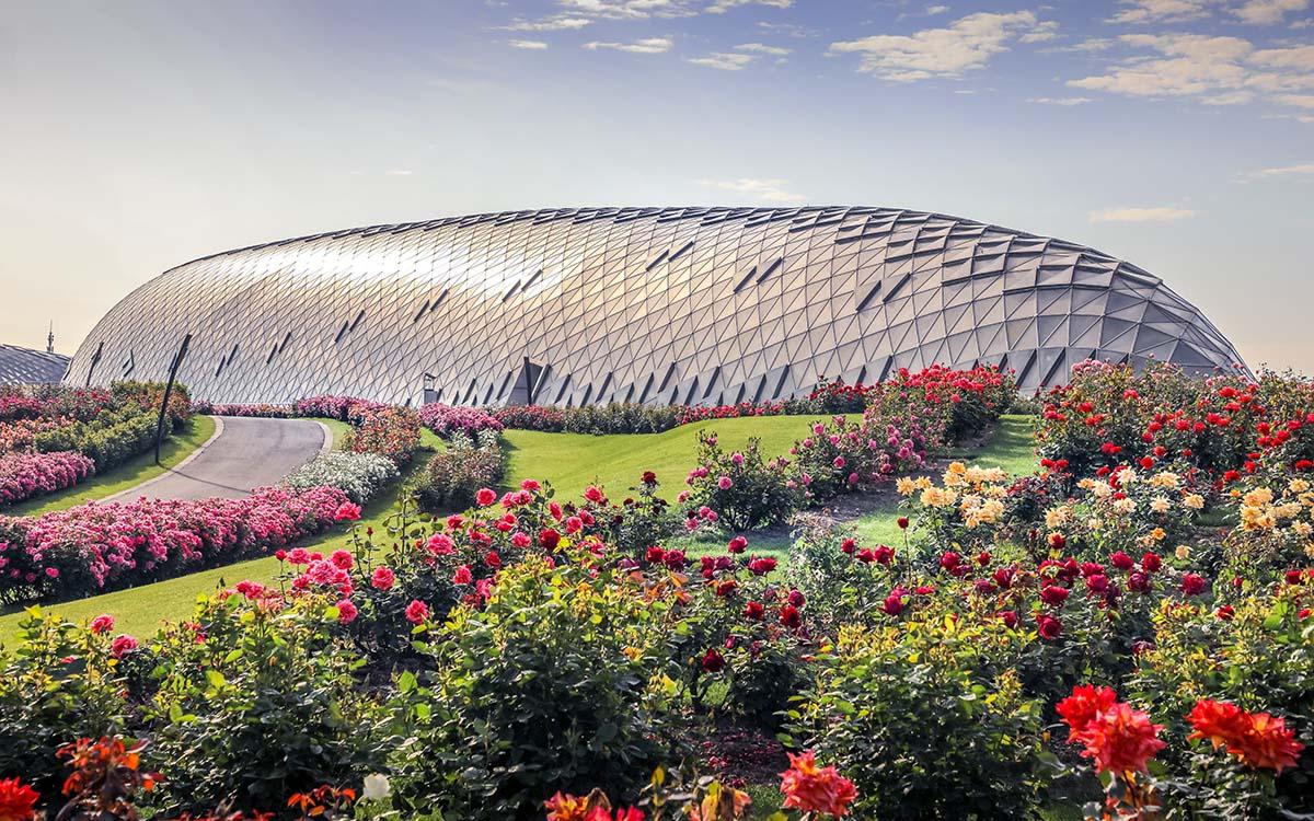 静待重逢日辰山植物园月季陆续绽放再现初夏美好