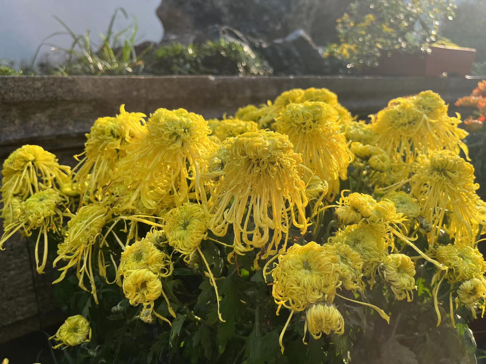 微信图片_20231103160221.jpg 微信图片_20231103160221.jpg