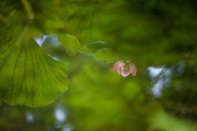 DSC_5278.jpg