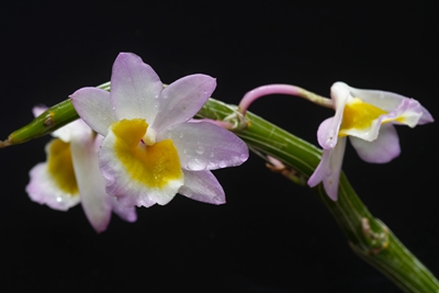 DSCF3587.jpg