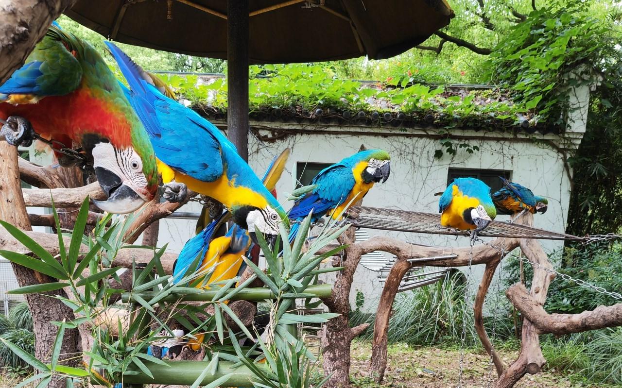 微信图片_20230630082215.jpg 微信图片_20230630082215.jpg