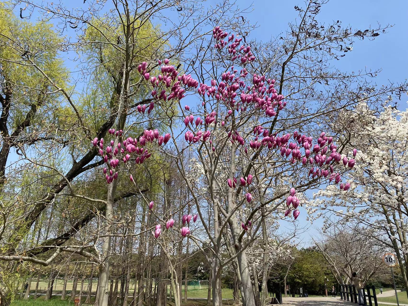 微信图片_20240319115357.jpg