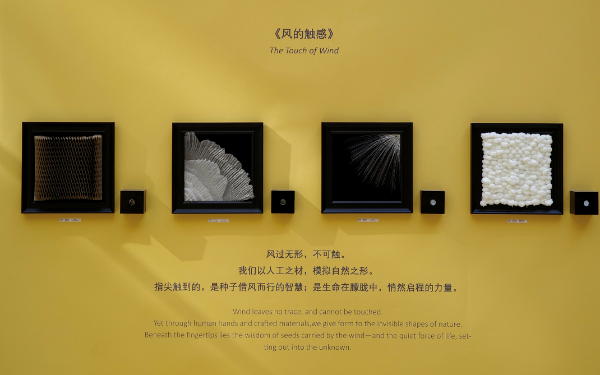 展3.png