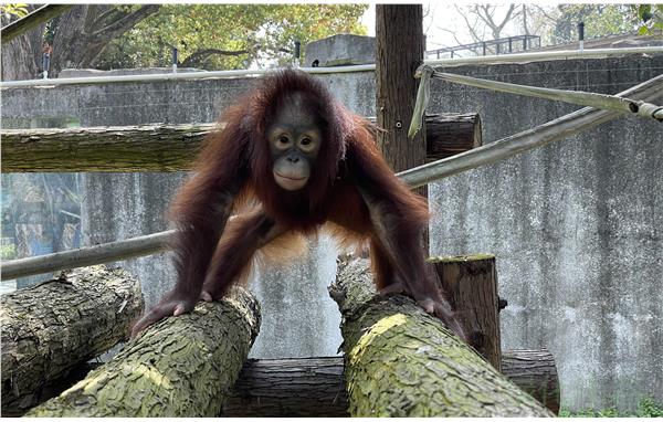 微信图片_20210525095350.jpg 微信图片_20210525095350.jpg