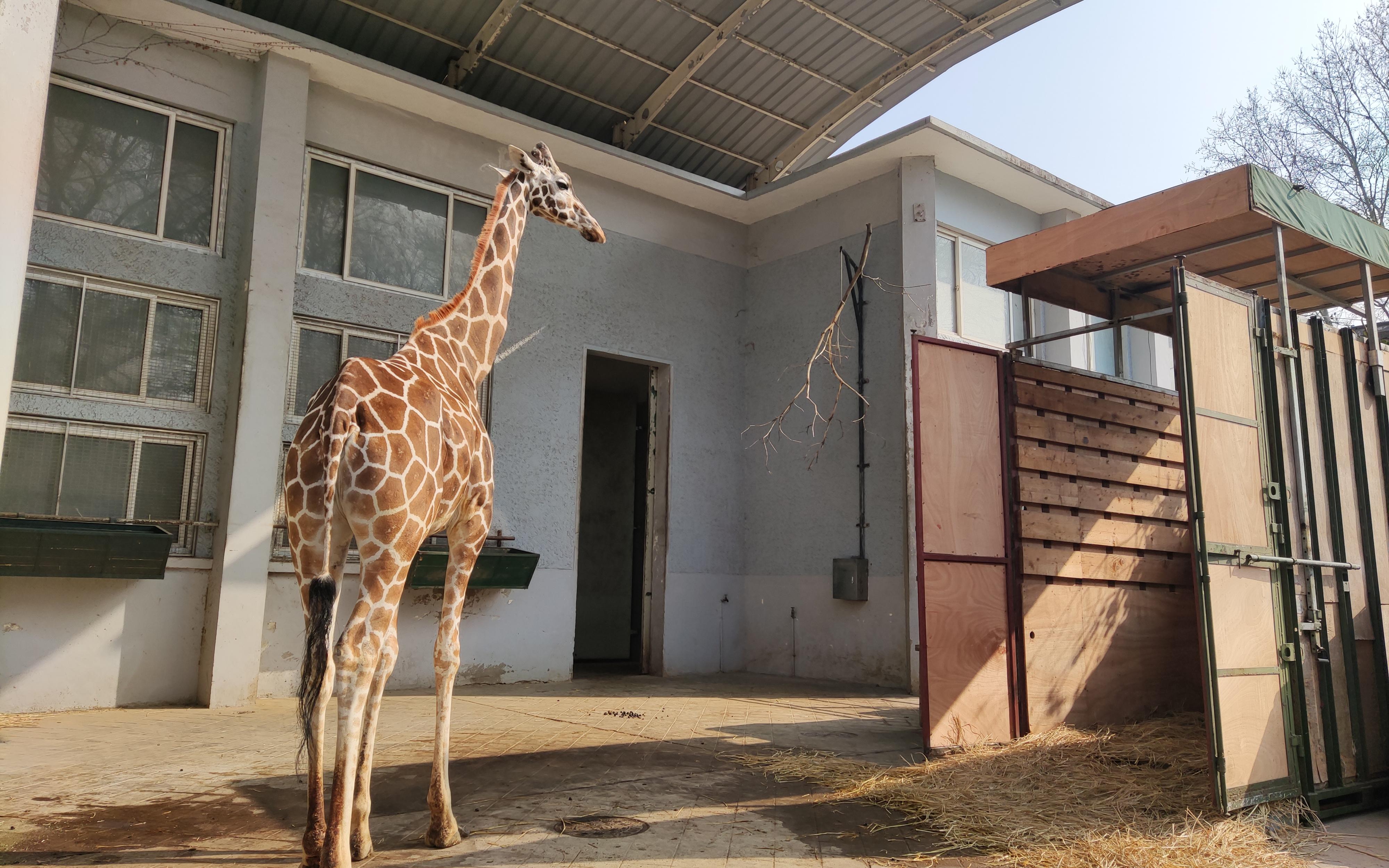 微信图片_20230319075230.jpg 微信图片_20230319075230.jpg