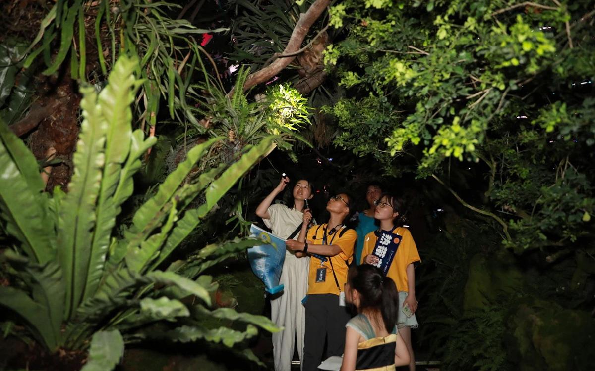 植物趣发现辰山植物园夜游季8月场次开启报名