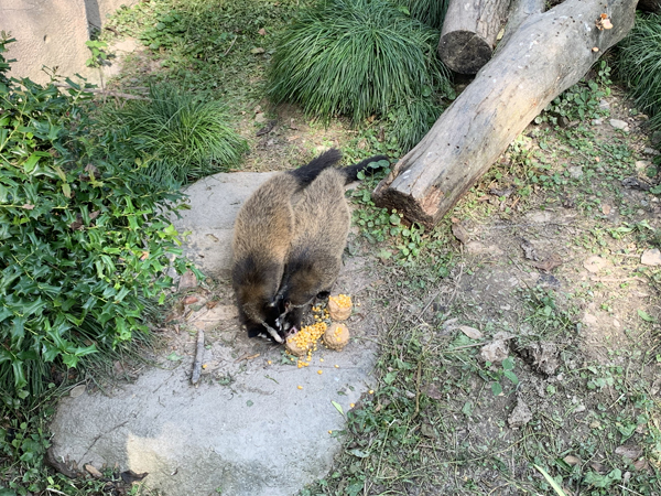 微信图片_20210918153210-1.jpg