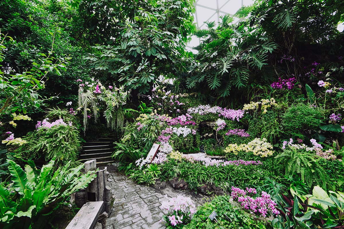 蝶漾传奇 (2).jpg