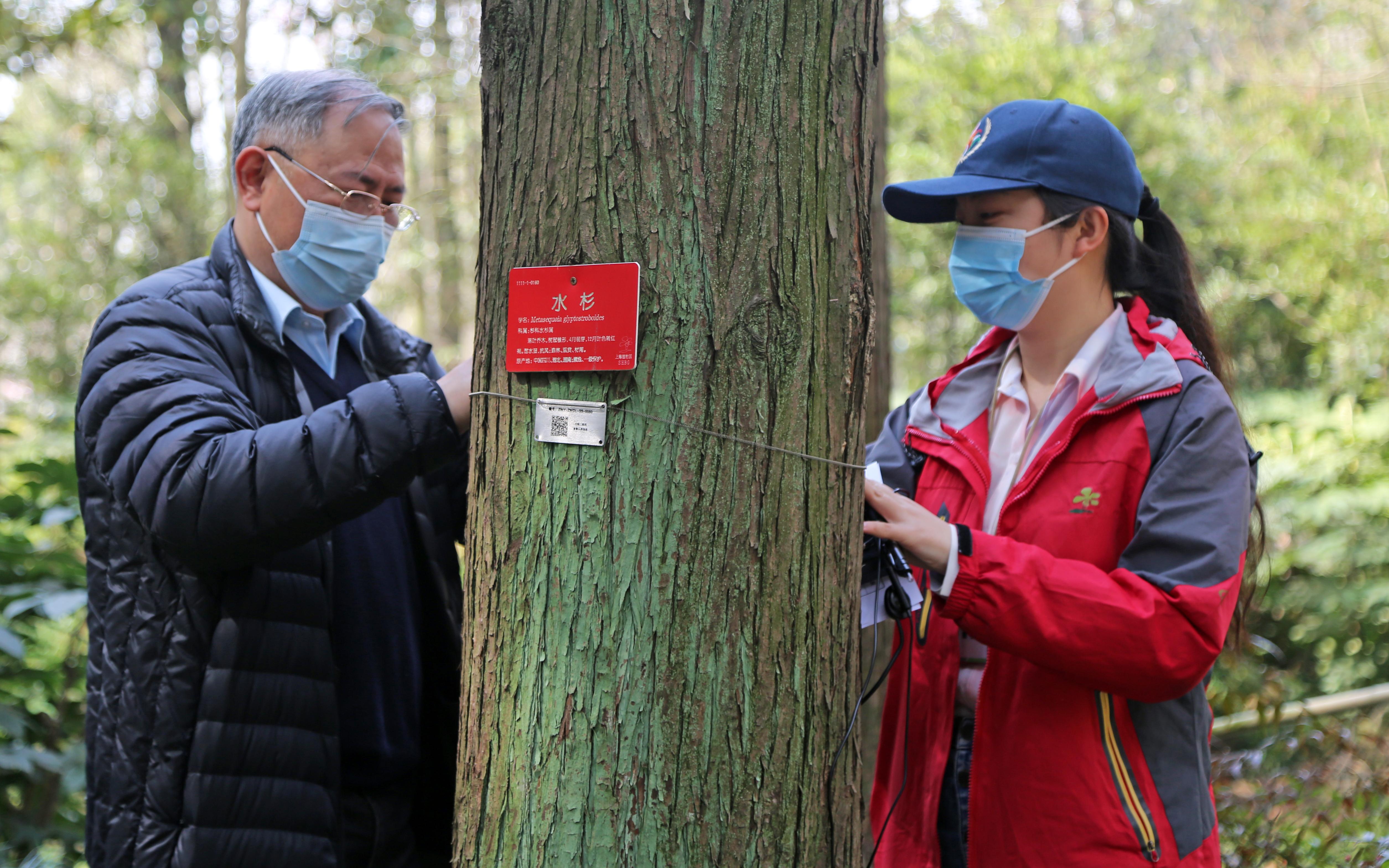 上海植物园开展植树节树木认养挂牌活动
