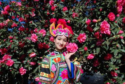 花径大小-大型.jpg 花径大小-大型.jpg