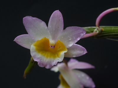 DSCF3593.jpg