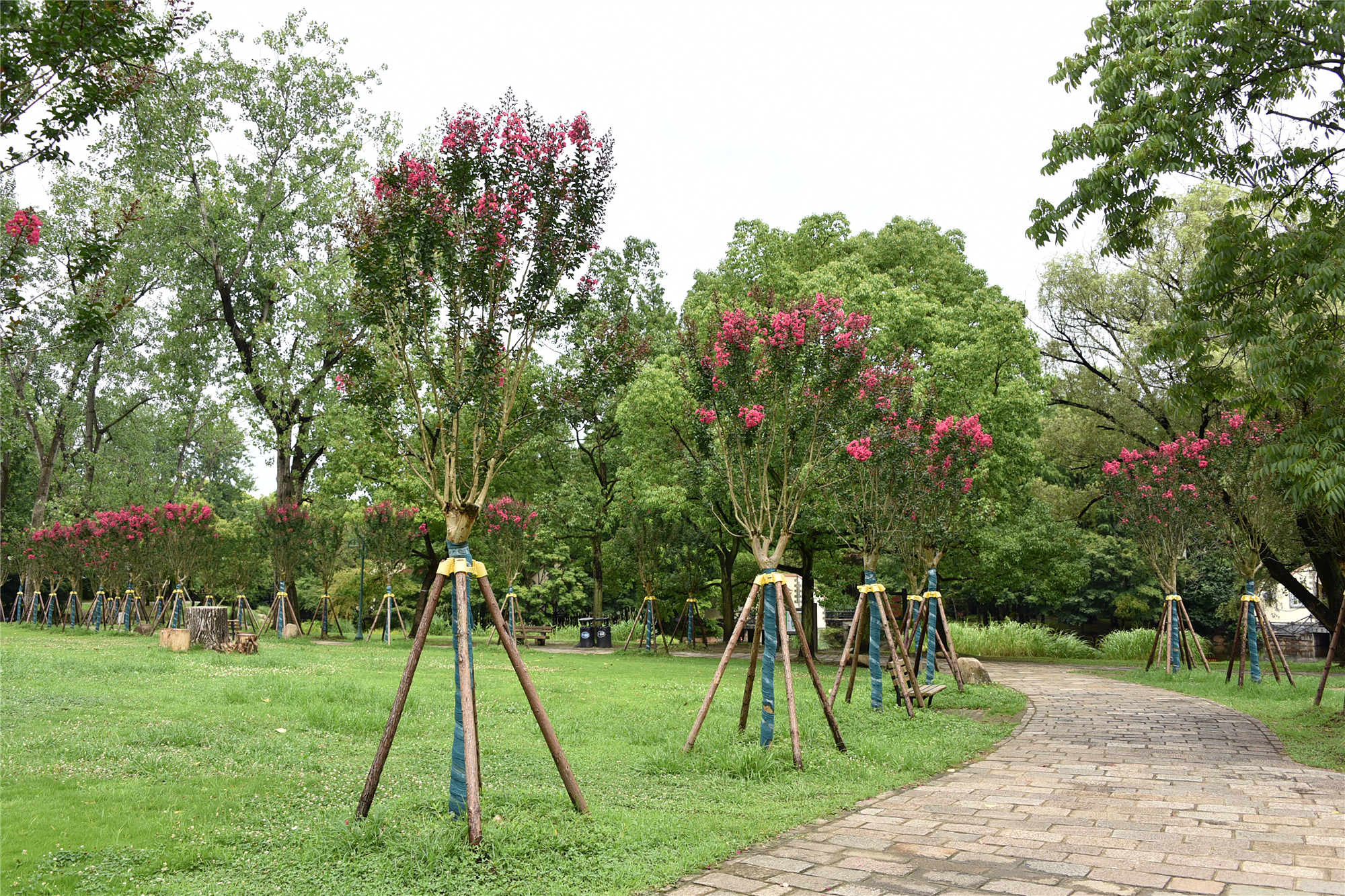 DSC_9694_副本.jpg