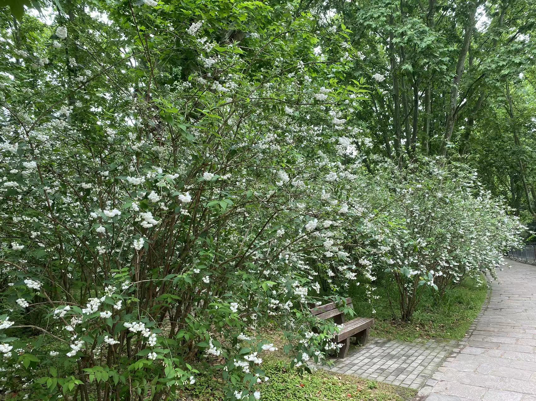 微信图片_20230506113458.jpg