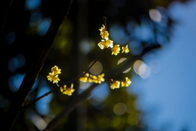DSC_1597.jpg