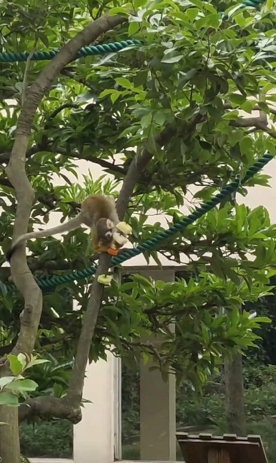 微信图片_20220527134113.jpg 微信图片_20220527134113.jpg