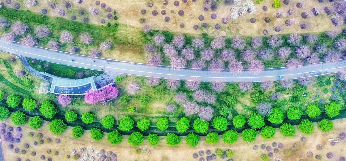 鸟瞰.jpg