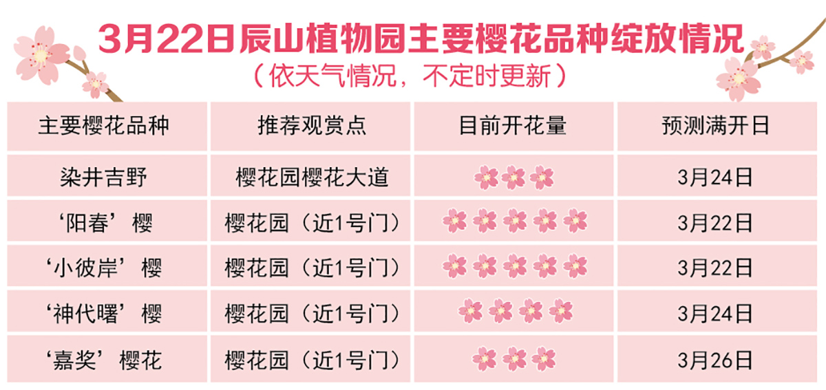 花期报（二）.jpg
