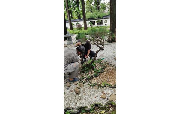 巡园及整改 (2).jpg 巡园及整改 (2).jpg