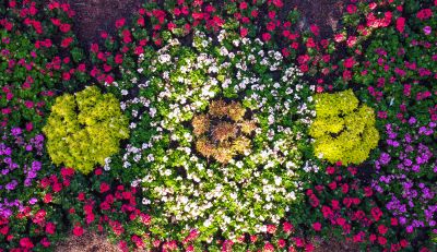 DJI_0459.jpg