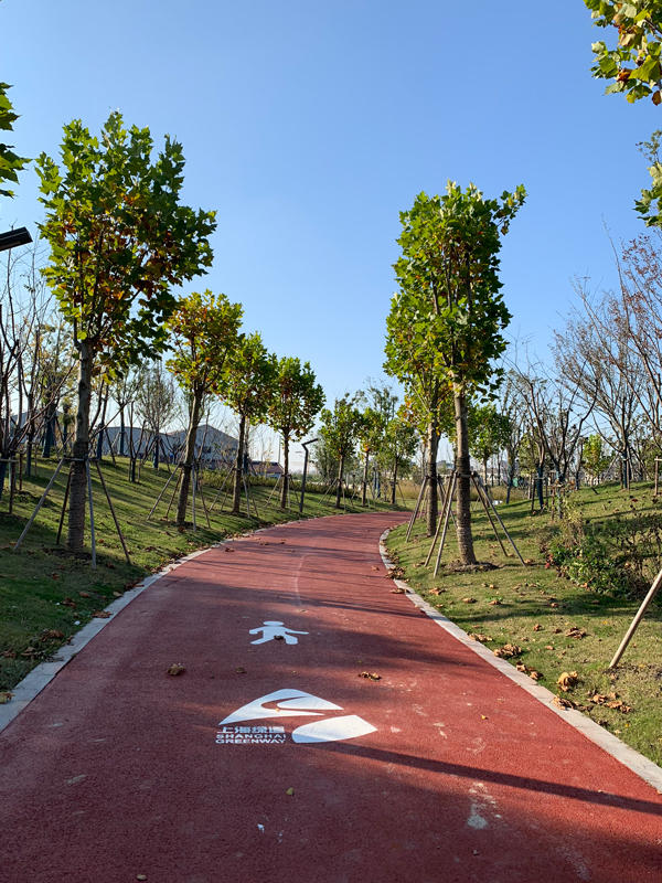 浦星公路（农民街—浦南运河）健身步道1.jpg