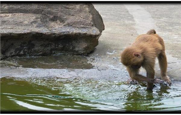 slide0104_image071.png slide0104_image071.png