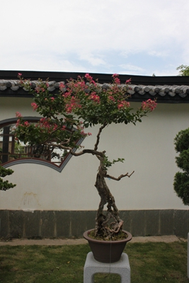 燕舞惊鸿.jpg