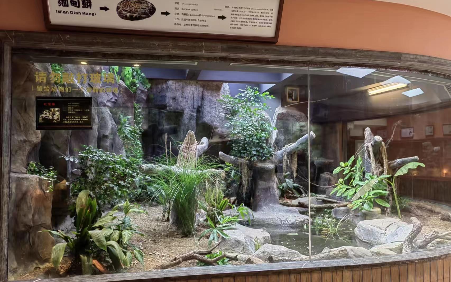 时隔近4个月上海动物园两爬馆重新和大家见面了