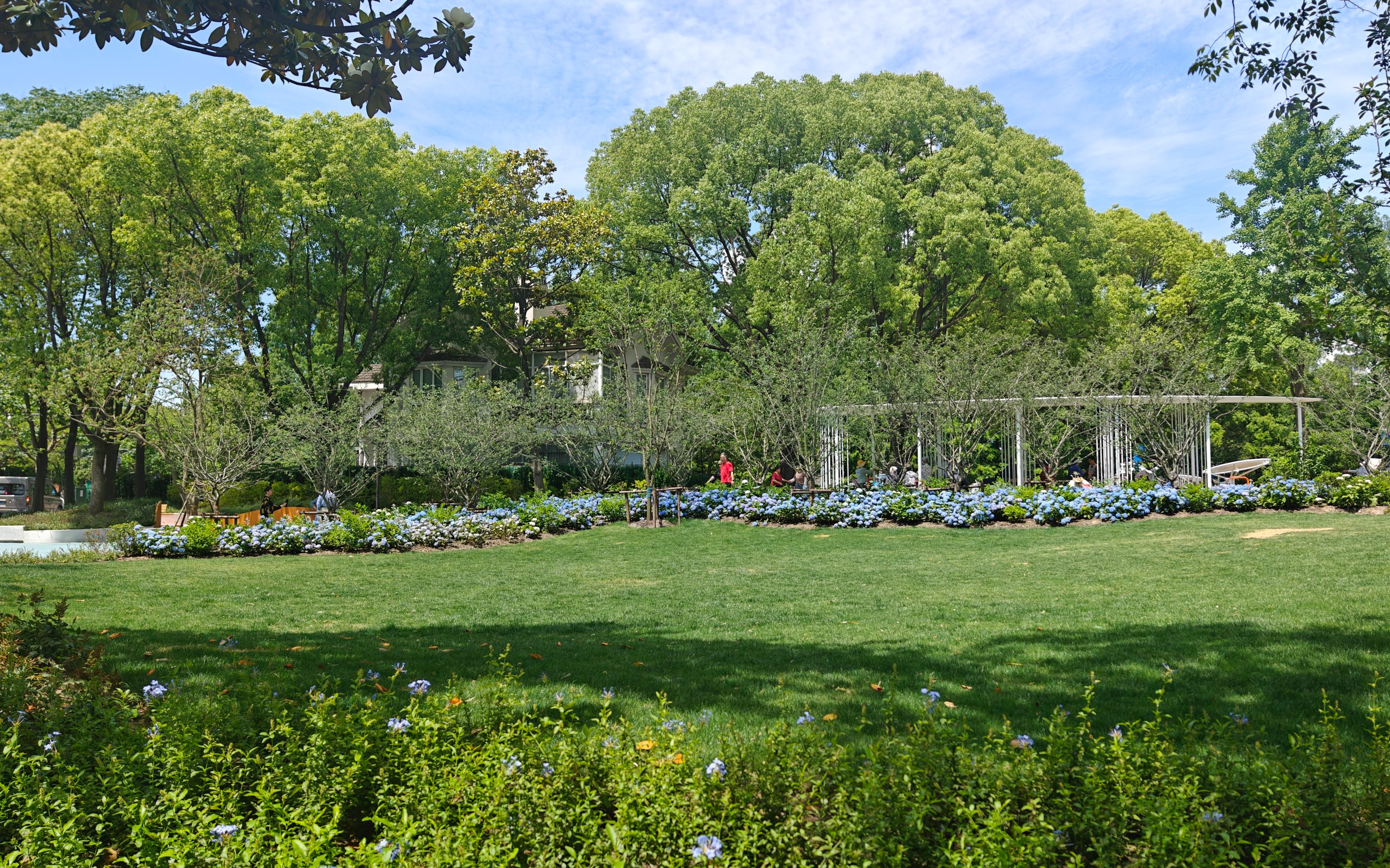 市绿化部门踏勘今年新增口袋公园建设情况