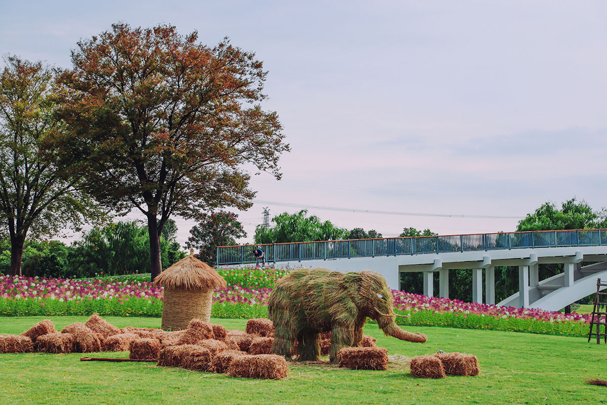 辰山植物园亲近自然趣味享秋再现诗意田园