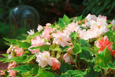 8C9A5443_副本.jpg