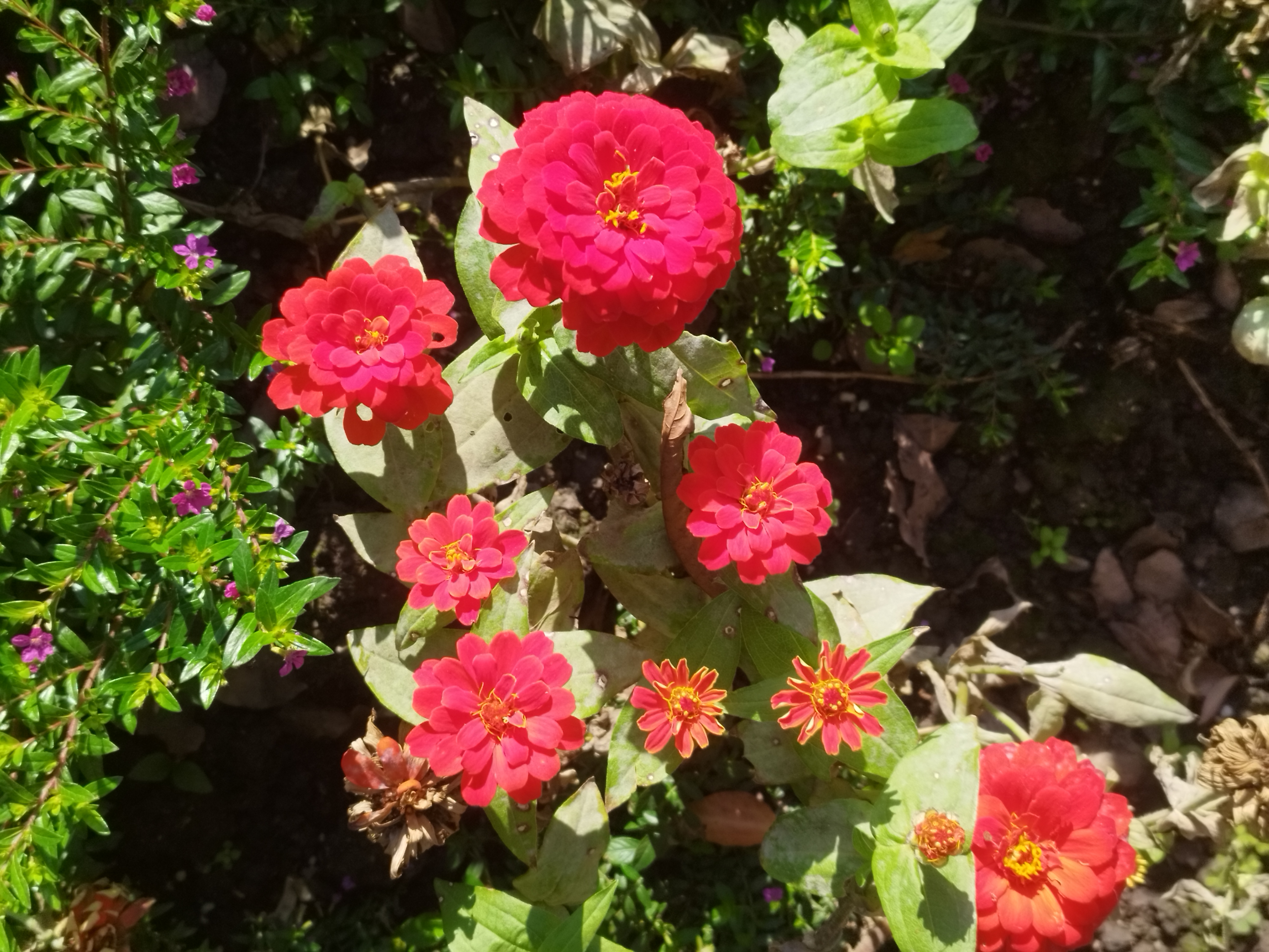 微信图片_20231113113129.jpg 微信图片_20231113113129.jpg