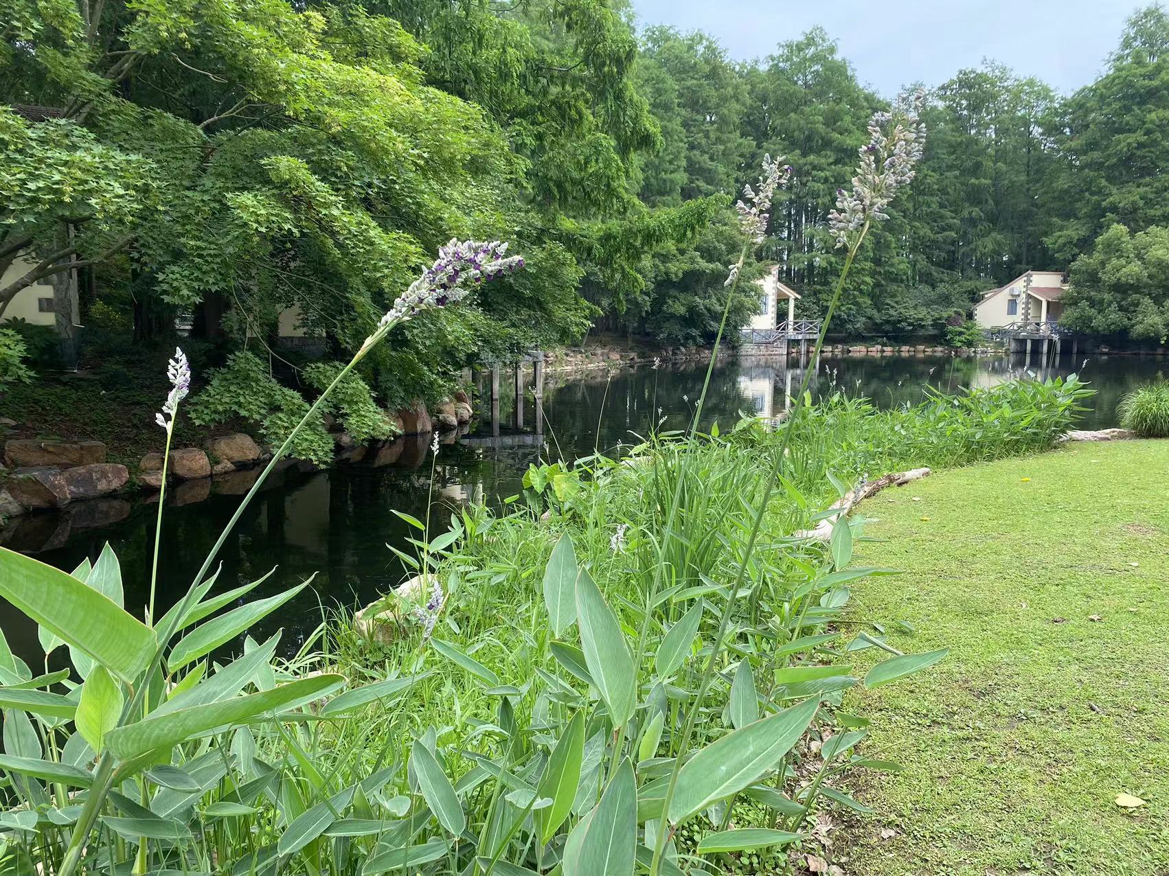 微信图片_20230607121814.jpg