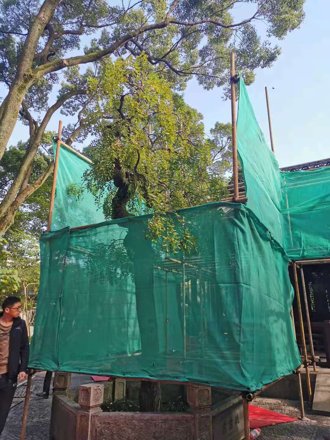 6c9663af577a53b96414a7ea3e050b6.jpg 6c9663af577a53b96414a7ea3e050b6.jpg