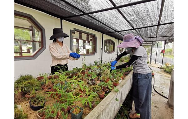 巡园及整改 (3).jpg 巡园及整改 (3).jpg