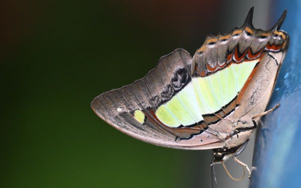 DSC_1294.JPG