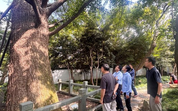 上海市林业总站赴松江区开展种质资源实地踏查2.jpg