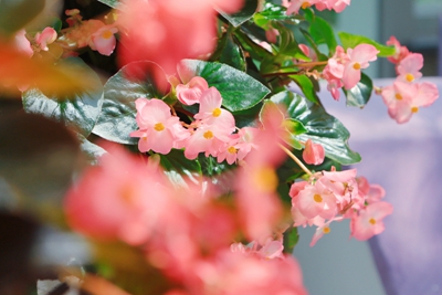 8C9A5337_副本.jpg