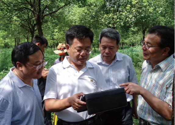 2014 年时任国家林业局森林资源管理司副司长徐济德（左二）来沪调研指导一体化监测工作.jpg