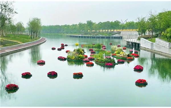 2021上海(国际)花展奉贤上海之鱼会场——" 浮岛花园 "展点